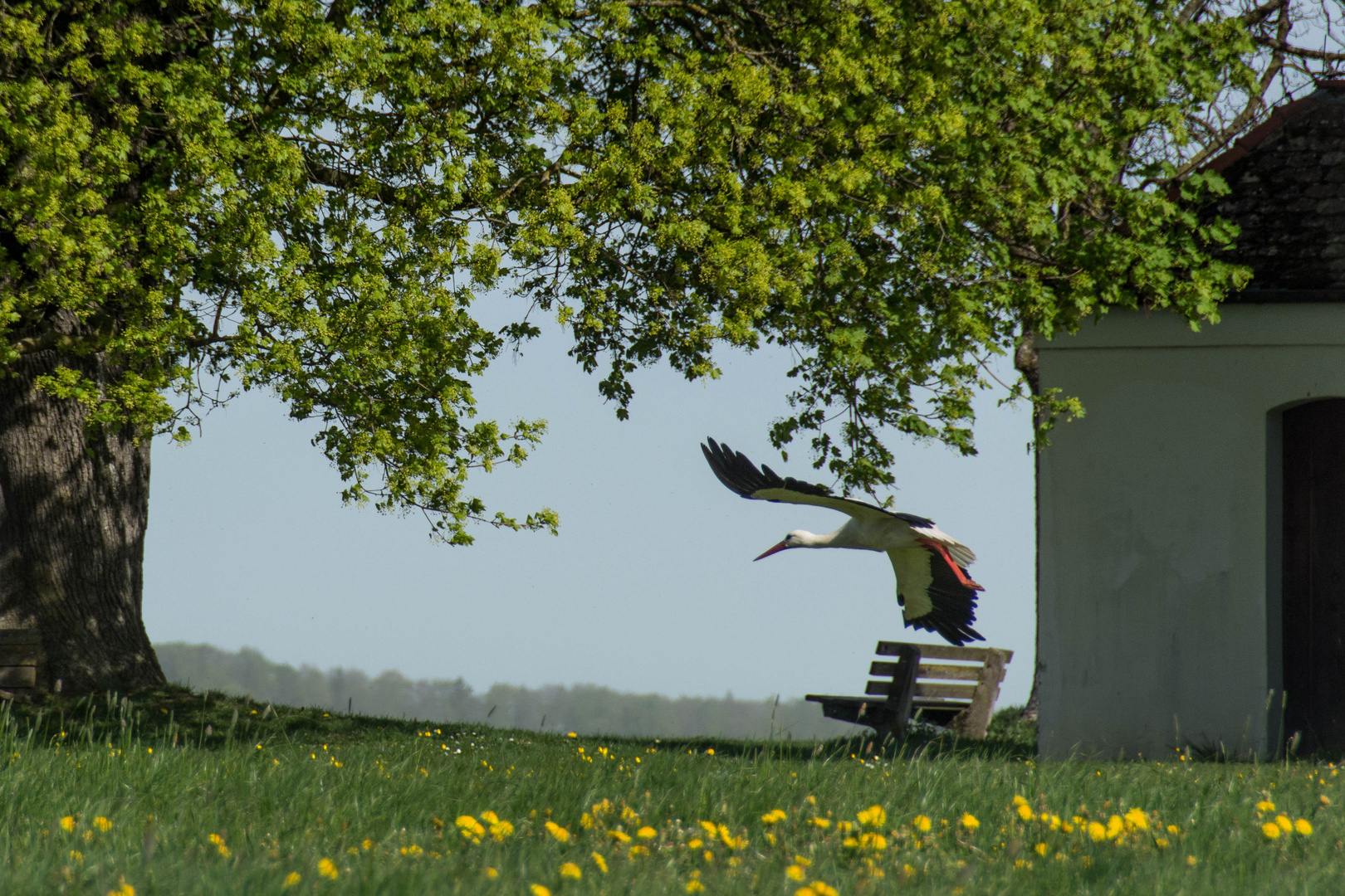 Ein neuer Start in den Frühling 