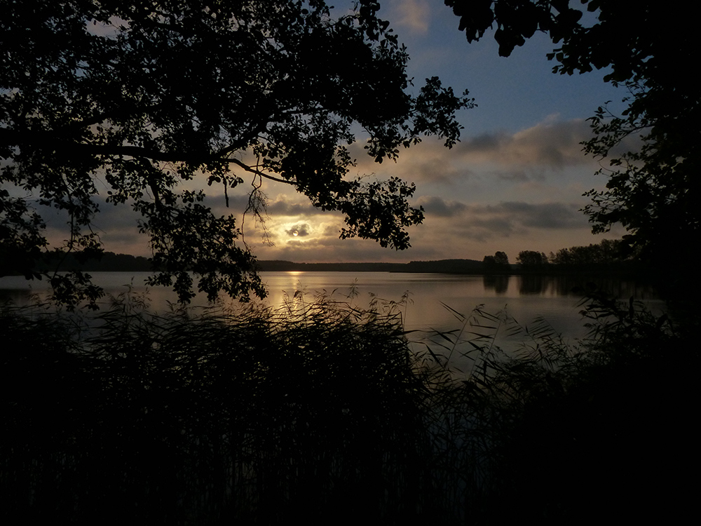 Ein neuer Tag am Feisnecksee