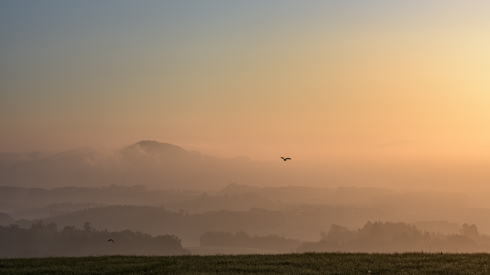 ein neuer Tag beginnt