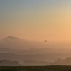 ein neuer Tag beginnt