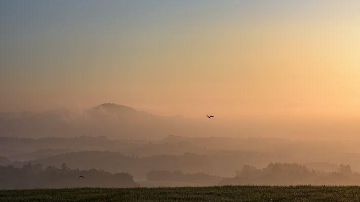 ein neuer Tag beginnt
