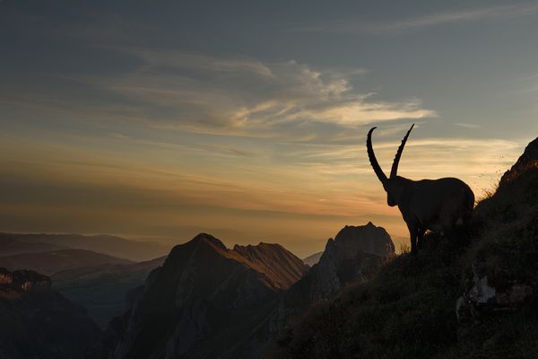 Ein neuer Tag erwacht...