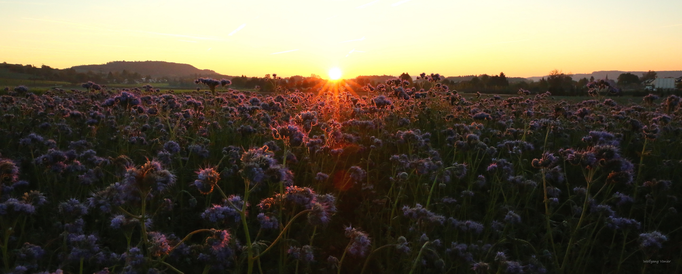 Ein neuer Tag erwacht, Sonnenaufgang über den Feldern