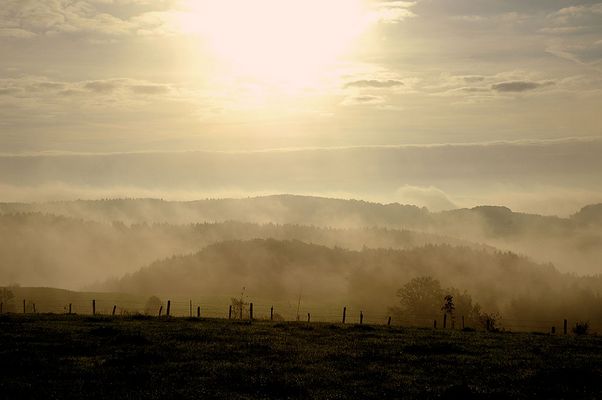 Ein neuer Tag ist geboren!