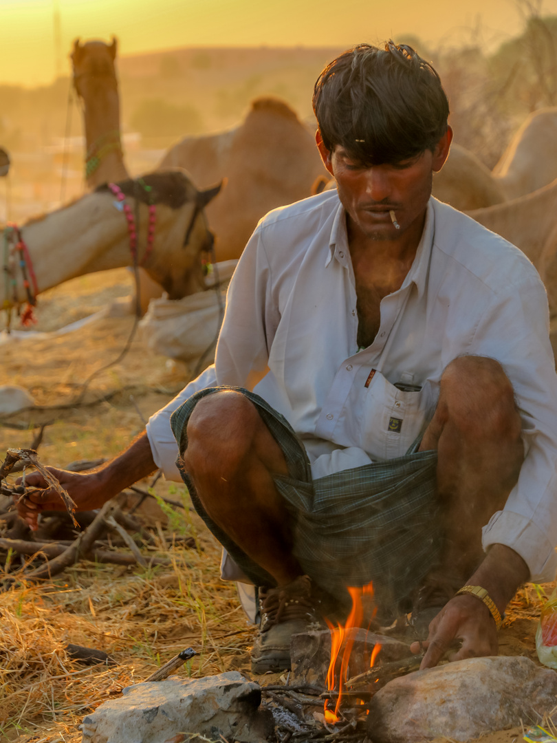 Ein neuer Tag, Pushkar Camel Fair