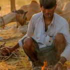 Ein neuer Tag, Pushkar Camel Fair