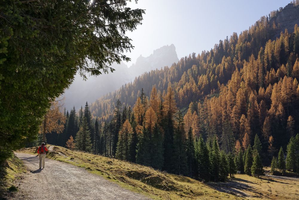 Ein neuer Weg Foto & Bild landschaft, berge, hütten u. wege Bilder