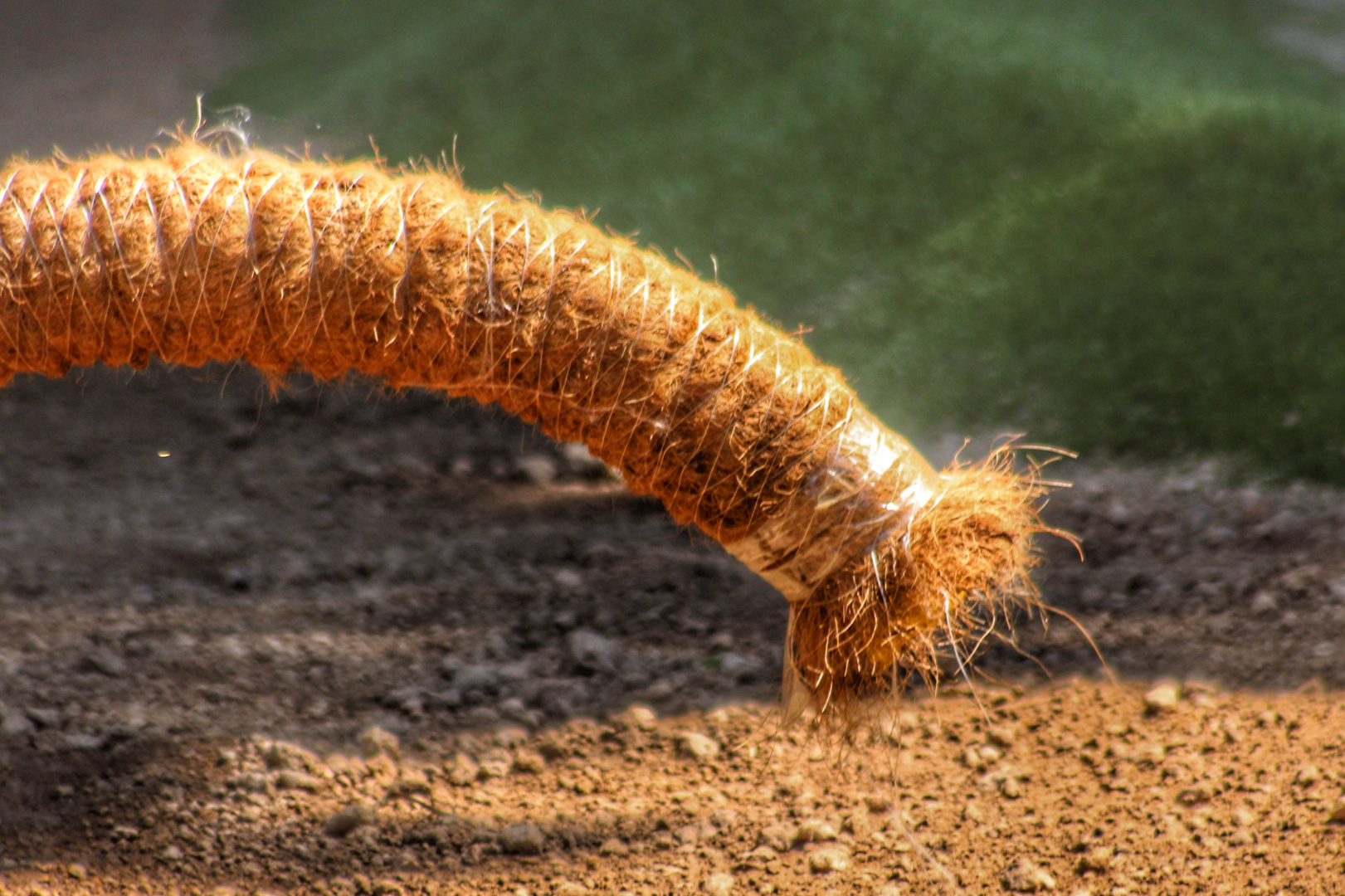 Ein neuer Wurm im Garten... Foto & Bild quatsch, fun und rätselecke
