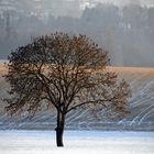 Ein neues Jahr beginnt