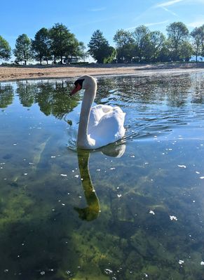 Ein neugierger Gast...
