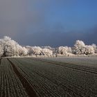 ein Neujahrstag wie gemalt...........