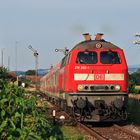 Ein Nordlicht im bayerisch - österreichischen Grenzgebiet