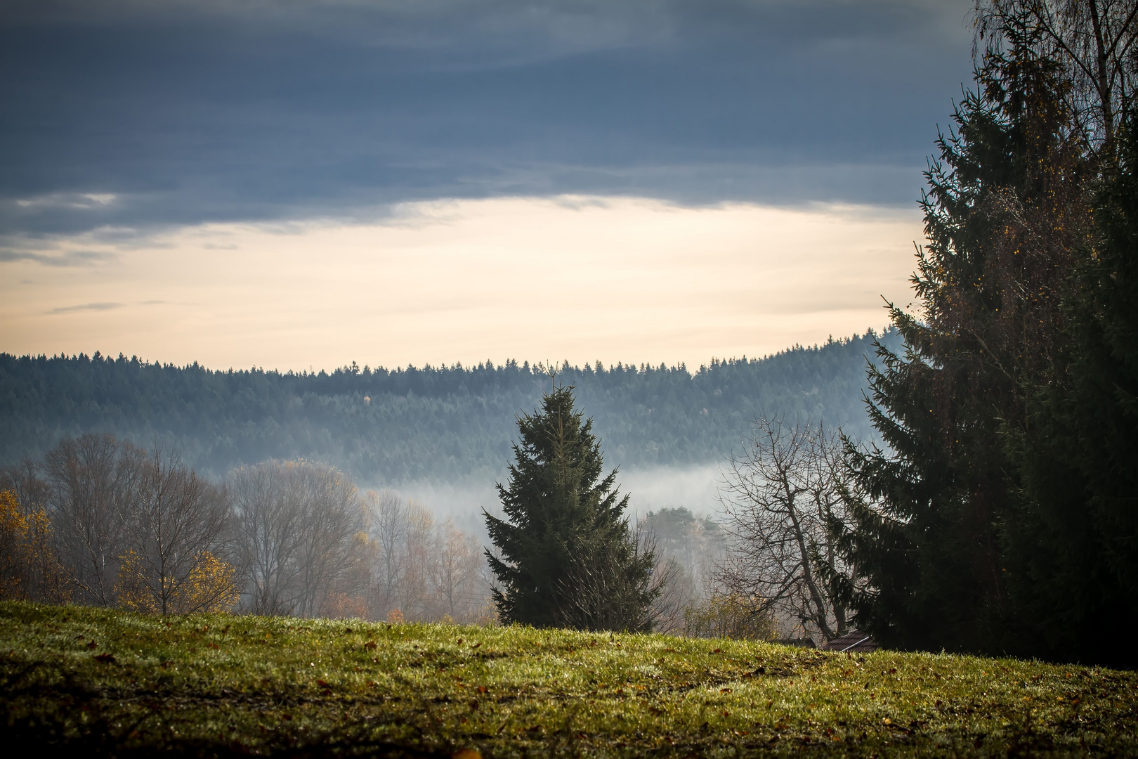 Ein November Morgen bei Böbrach (Bay. Wald)