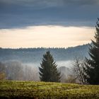 Ein November Morgen bei Böbrach (Bay. Wald)