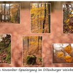 Ein November-Spaziergang im Dillenburger Weinberg