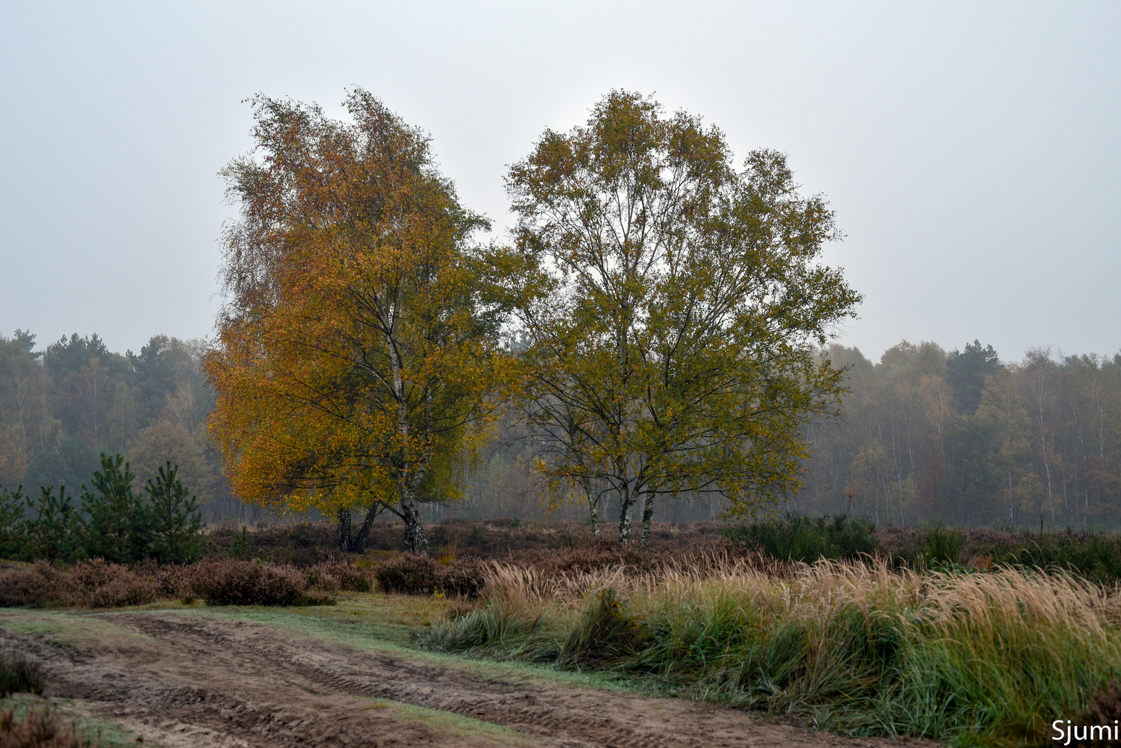 Ein Novembermorgen