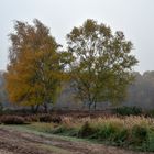 Ein Novembermorgen