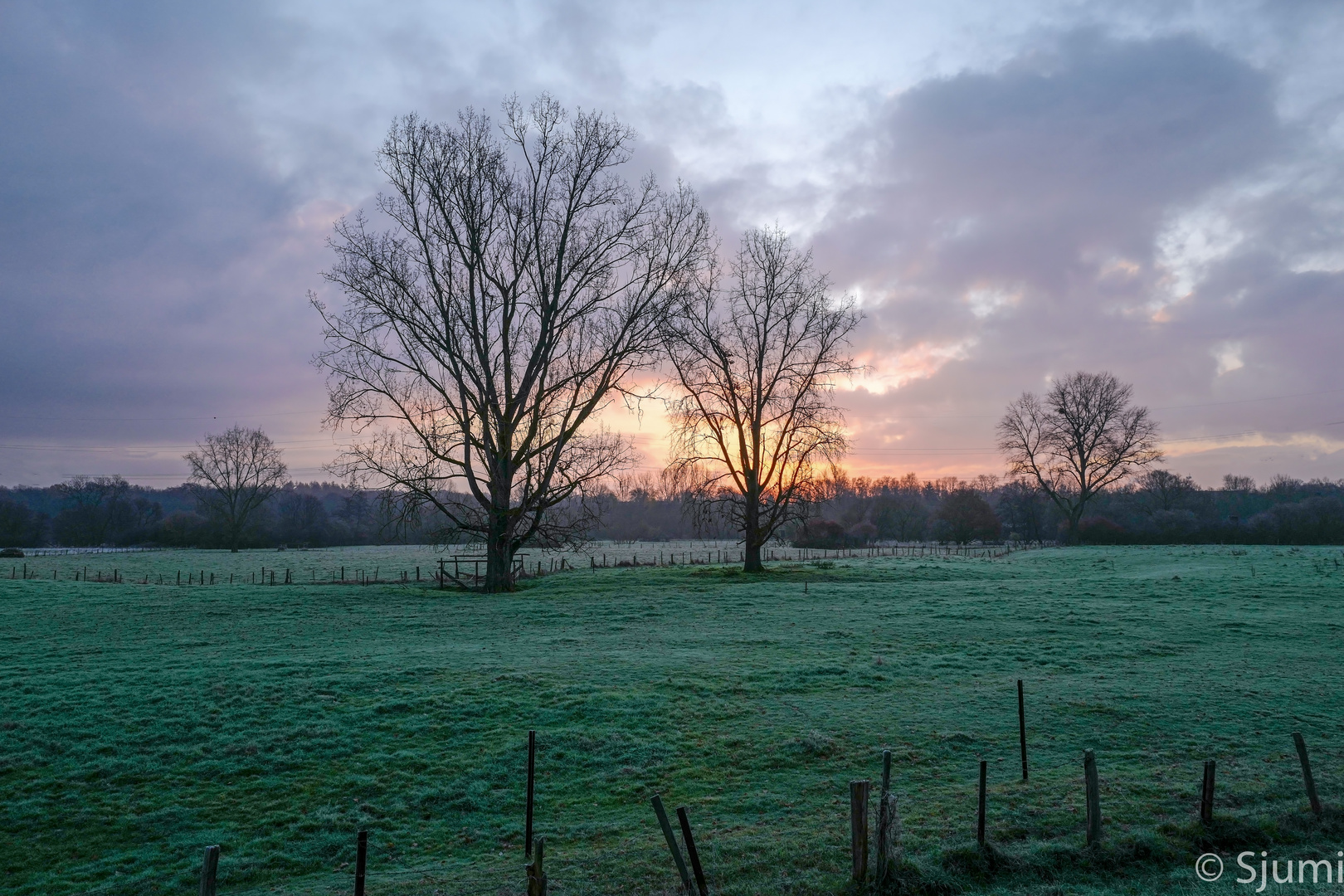 Ein Novembermorgen