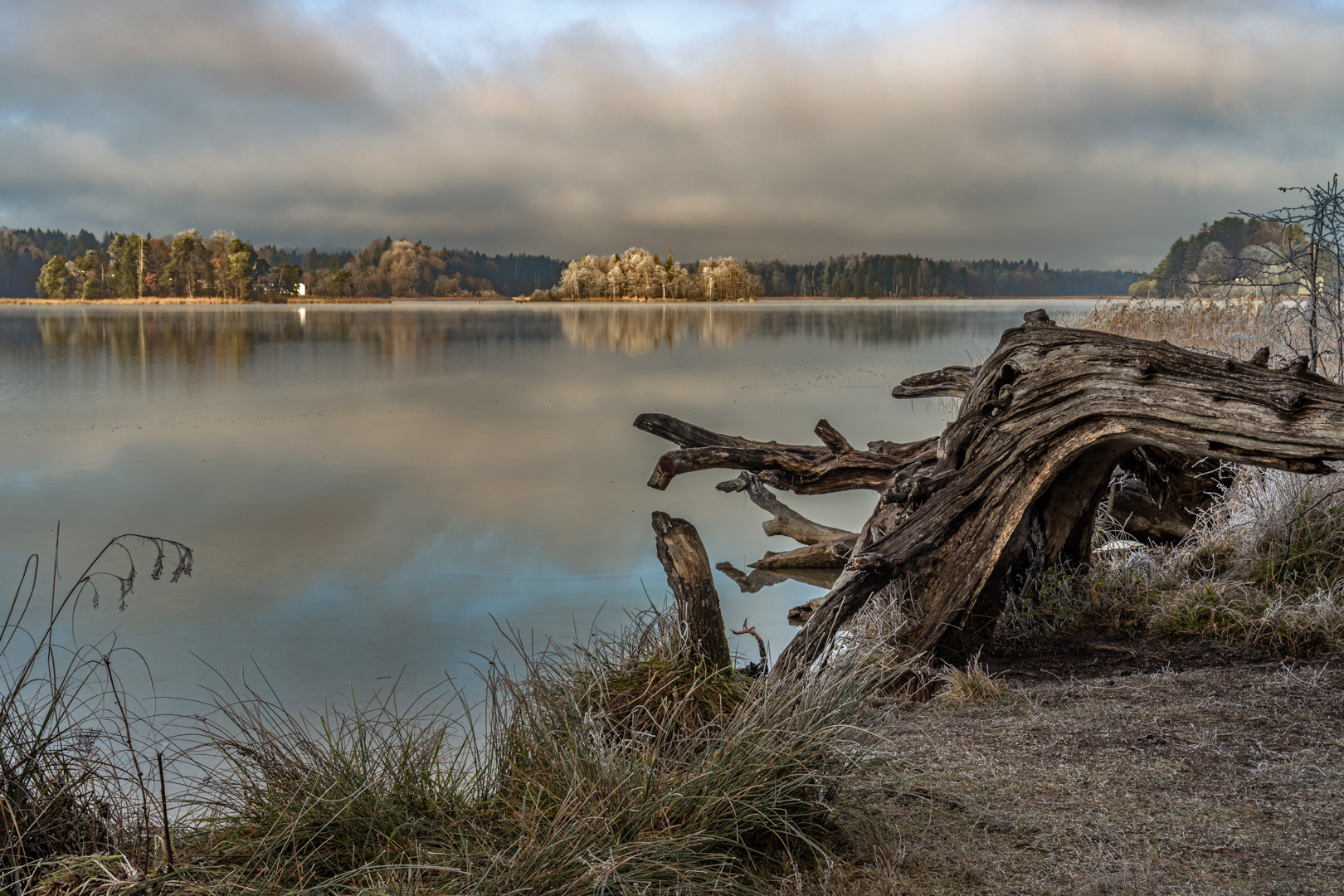 Ein Novembermorgen am See