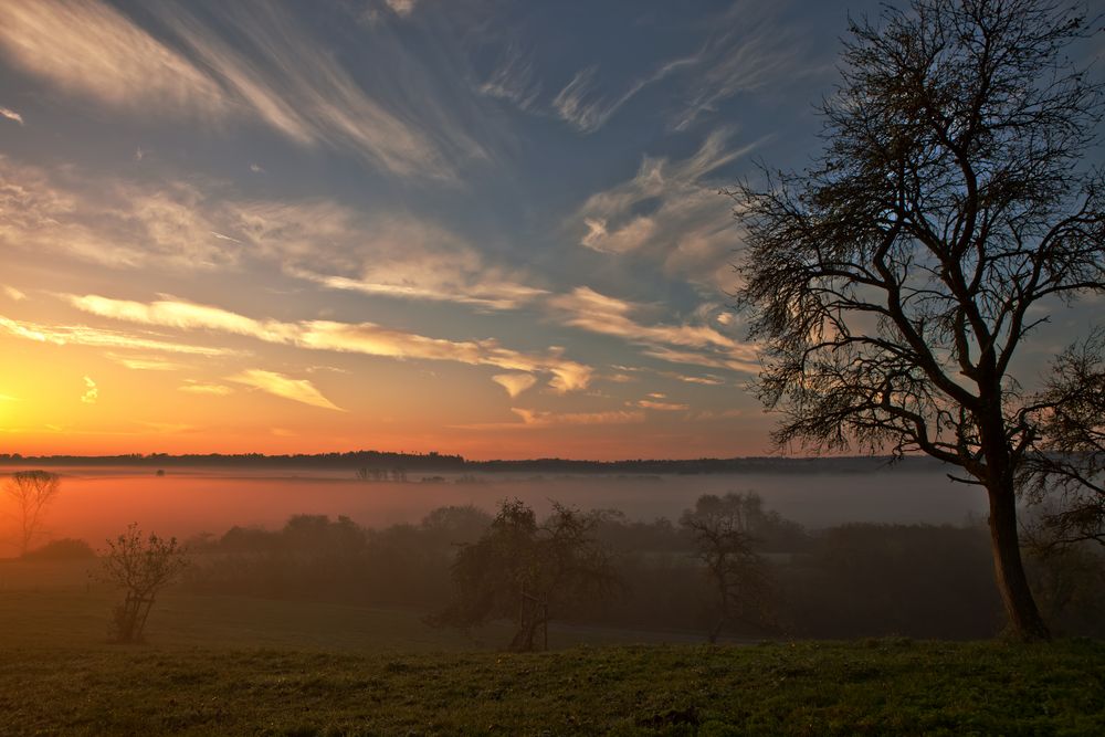 Ein Novembermorgen