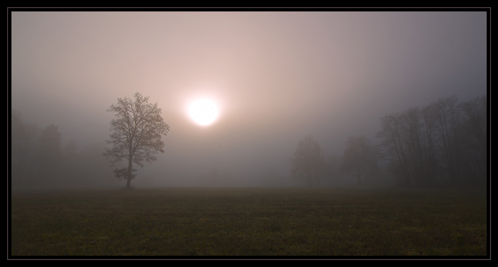 EIN NOVEMBERMORGEN