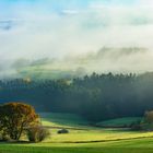 Ein Novembermorgen in der Nordeifel