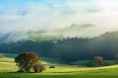 Ein Novembermorgen in der Nordeifel