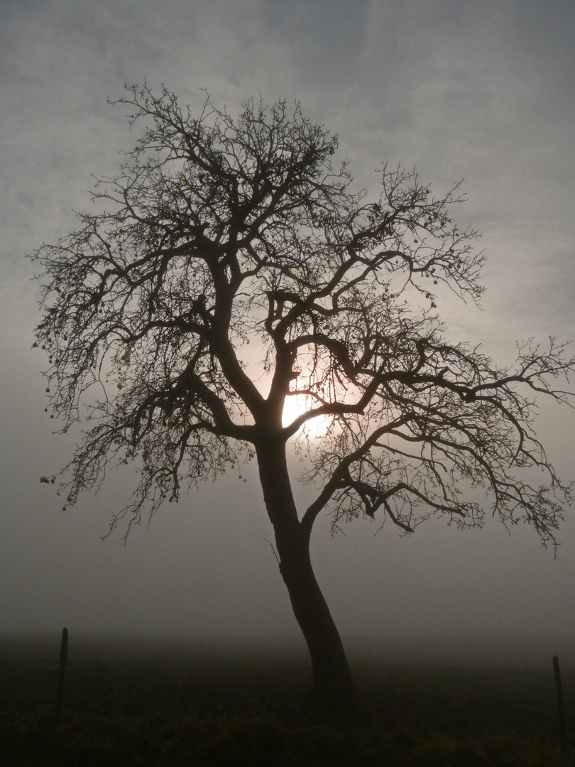 ein Novembertag