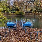 Ein Novembertag am alten Neckar