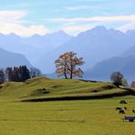 Ein Novembertag im Oberallgäu