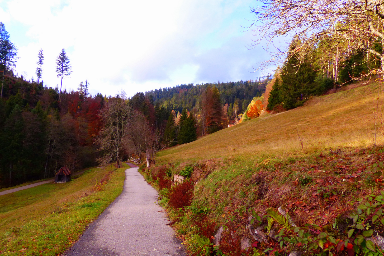 °°°° Ein Novembertag im Tonbachtal °°°°