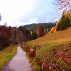 °°°° Ein Novembertag im Tonbachtal °°°°