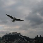 ein Novembertag in Salzburg