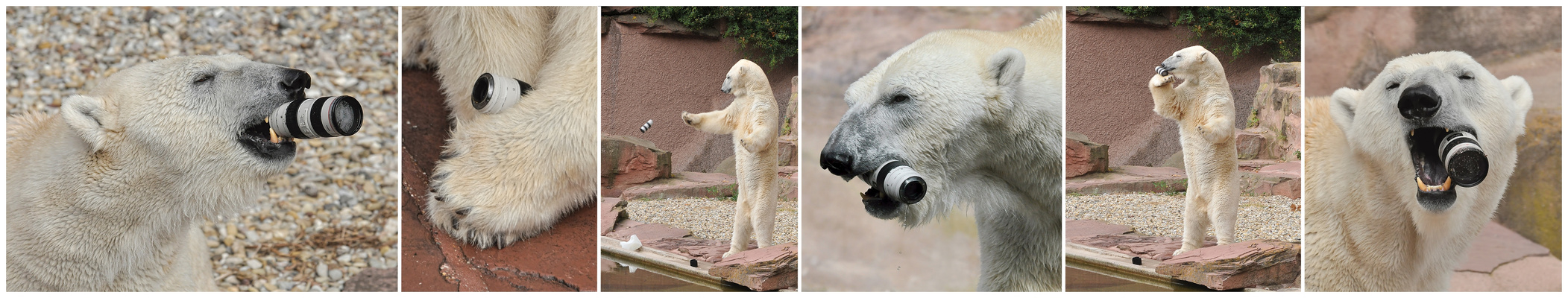 .....Ein Objektiv für Felix.....