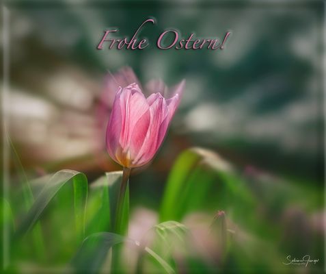 Ein österlicher Blumengruß