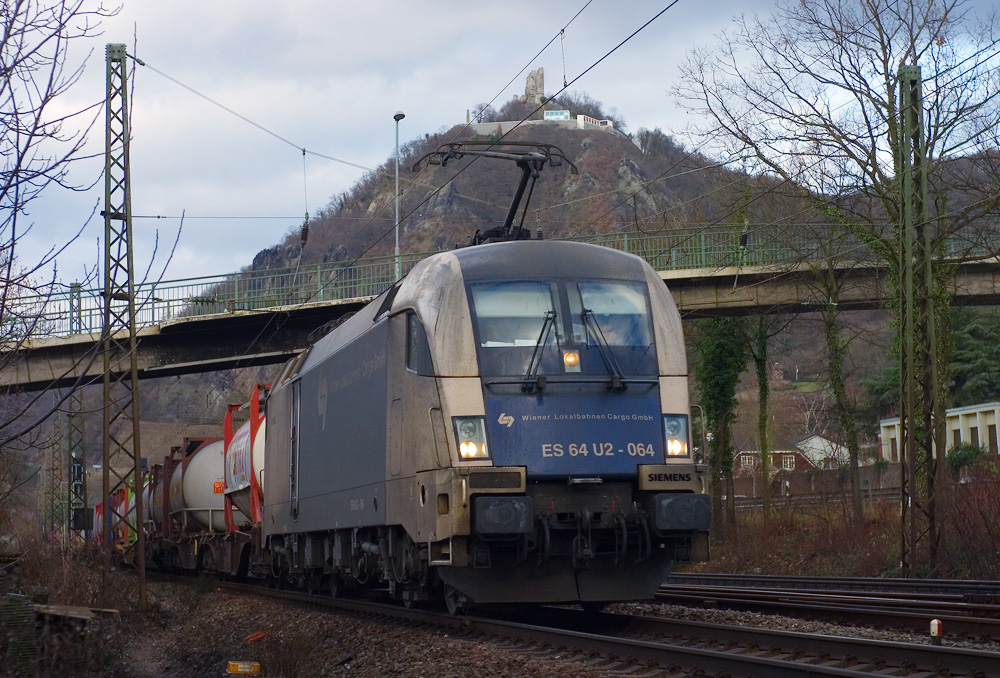 Ein Österreicher im Rheinland –