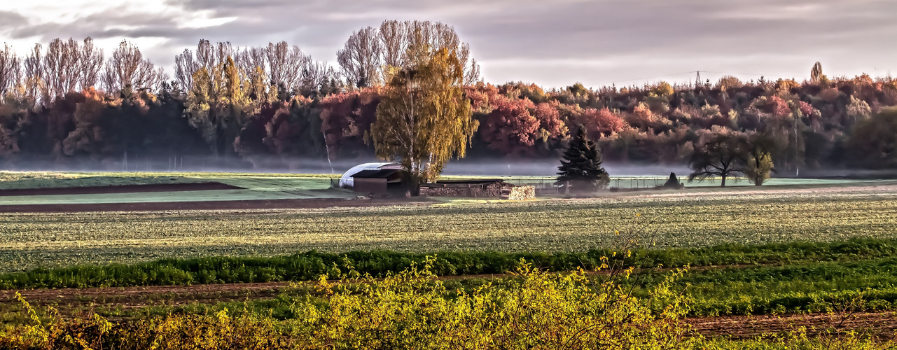 Ein Oktober Morgen