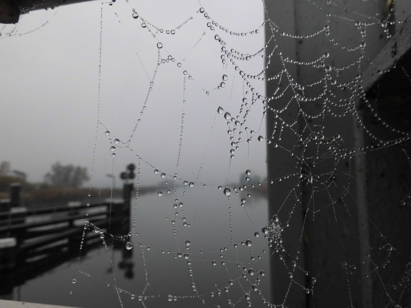 Ein Oktober - Morgen in Loitz an der Peenebrücke