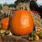 Ein Oktobergruß