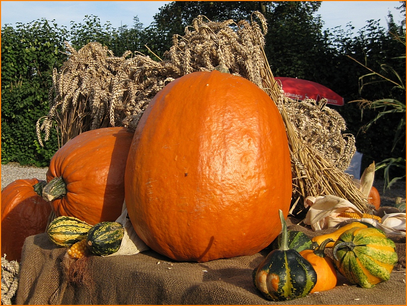 Ein Oktobergruß