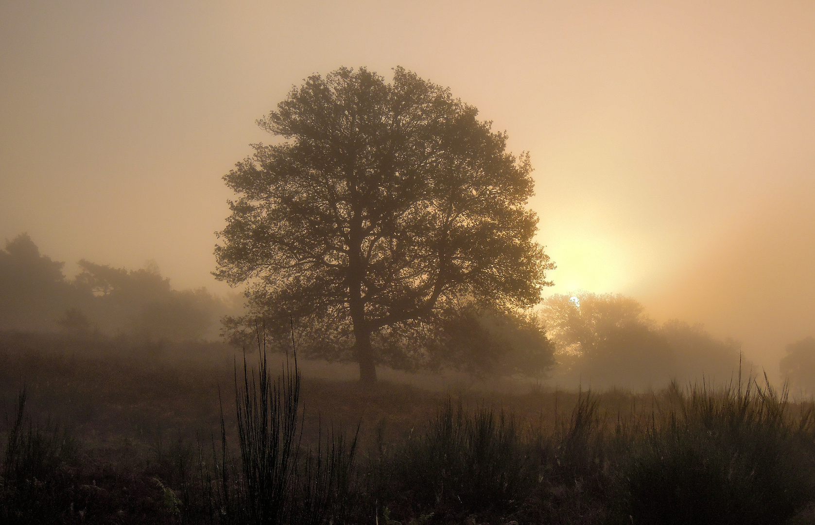 Ein Oktobermorgen 2