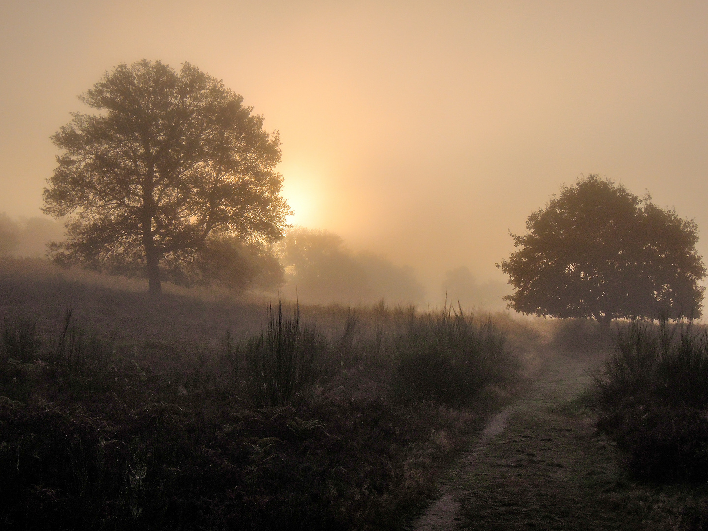 Ein Oktobermorgen