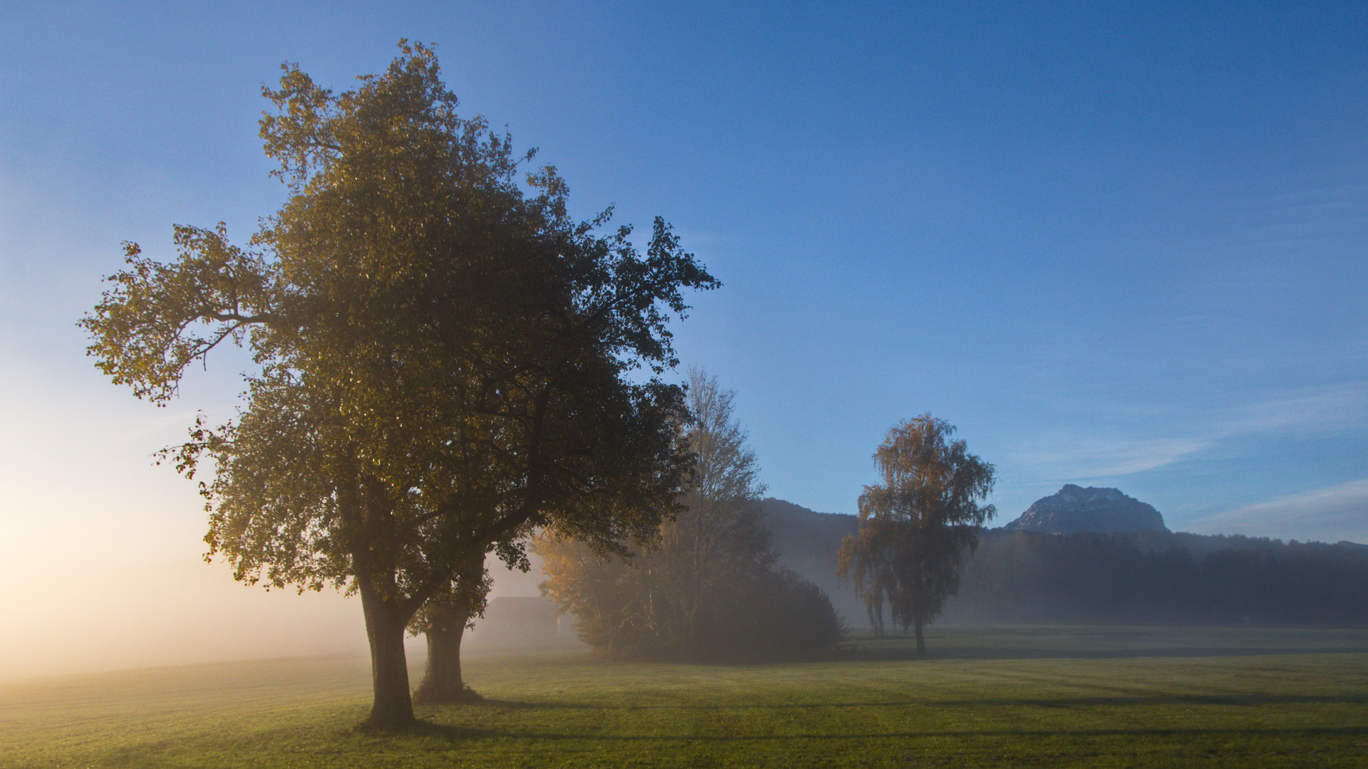 Ein Oktobermorgen