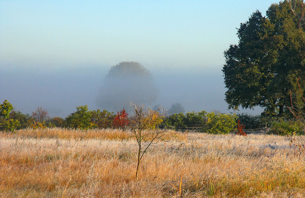 Ein Oktobermorgen in der Prignitz-Vers.2