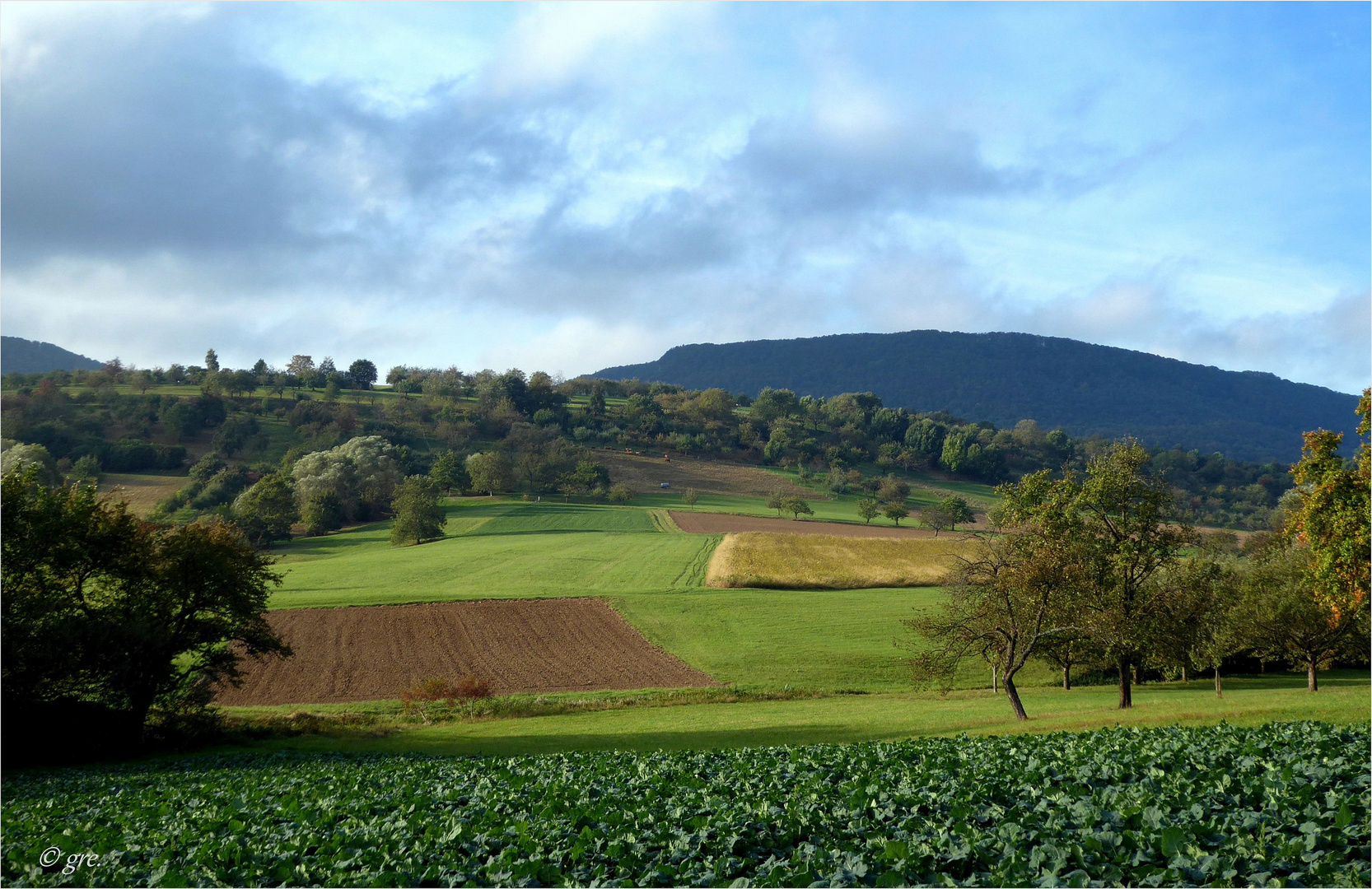 Ein Oktobertag 2016