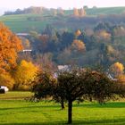 Ein Oktobertag ....