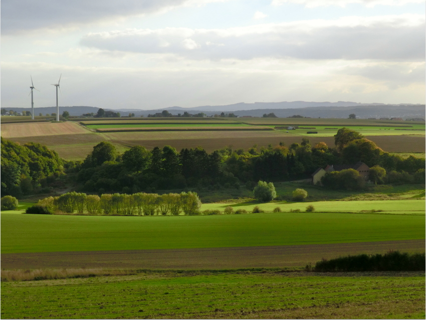 Ein Oktobertag wie im Frühling...