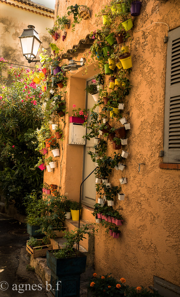 Ein origineller Garten