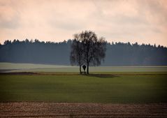 Ein Ort zum verweilen.....