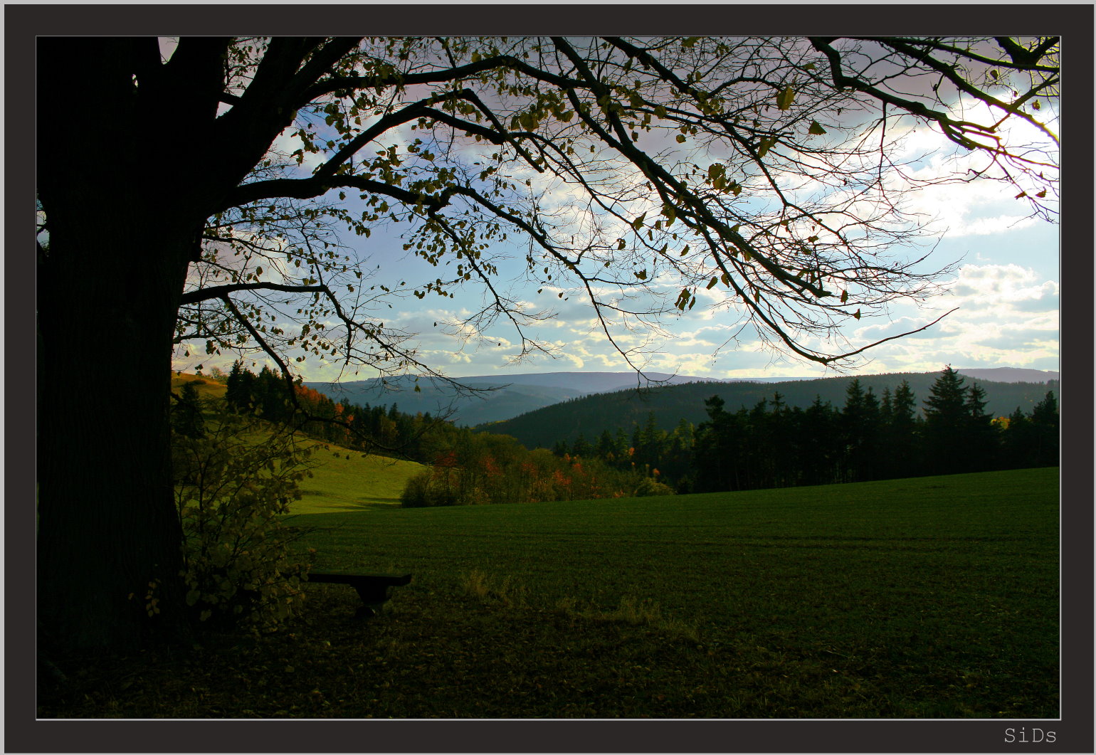 Ein Ort zum Verweilen